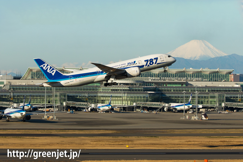 ANA ボーイング787-8