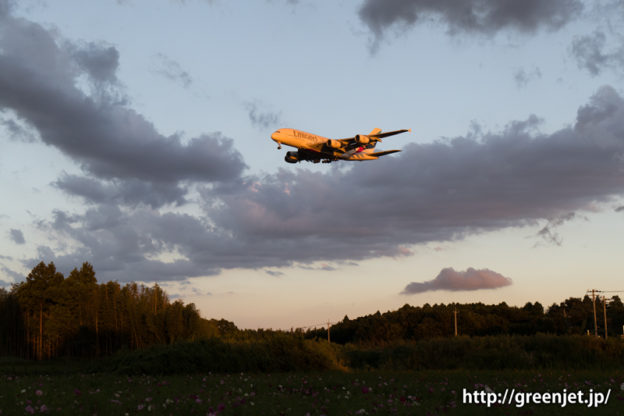 エミレーツ航空 エアバス A380-861
