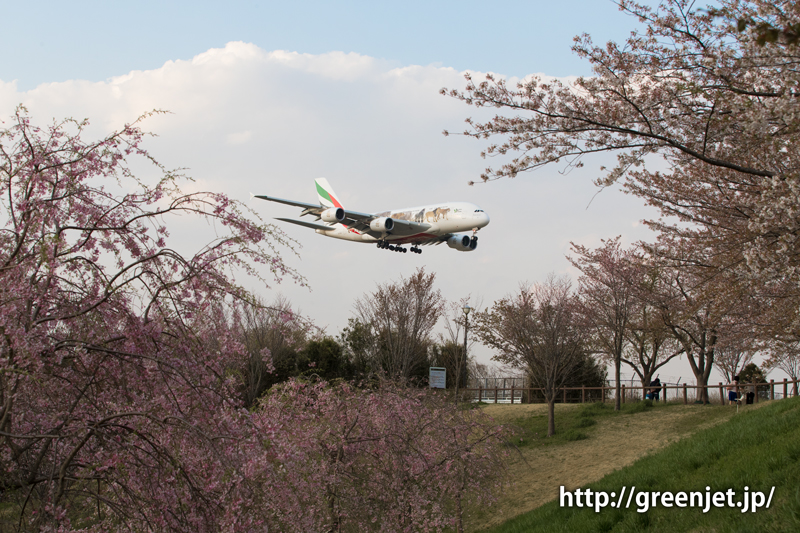 成田 さくらの山 エミレーツ航空 エアバス A380-861