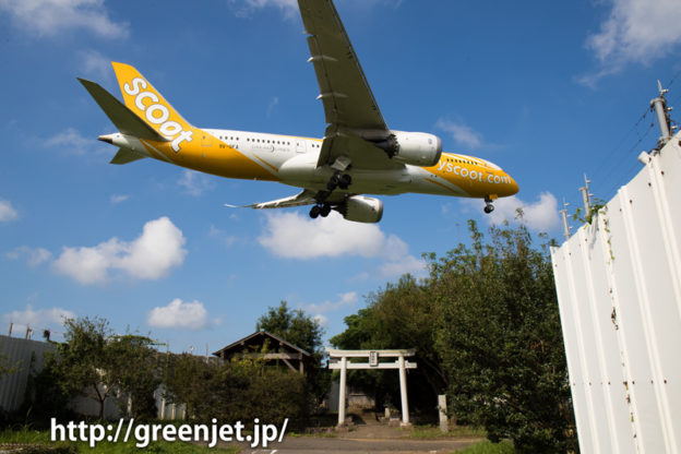 成田 東峰神社にて スクート・タイガーエア ボーイング 787-8 Dreamliner