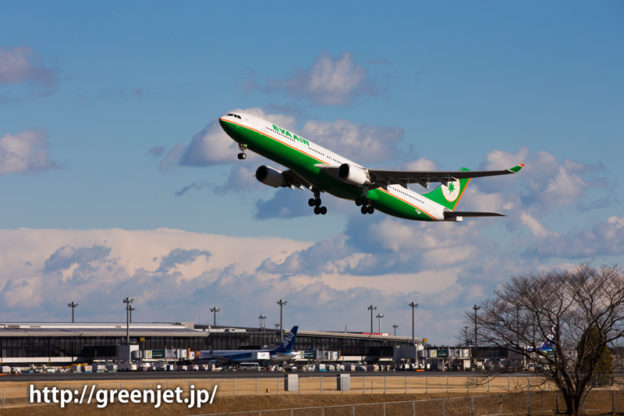 成田空港RWY34Lからテイクオフするエバー航空 エアバス A330-302