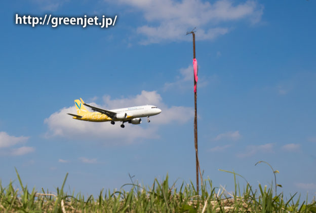 バニラエアのエアバスA320ととんぼのコラボ
