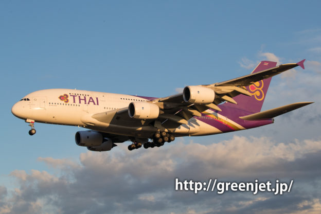 ひこうきの丘/タイ航空のエアバスA380