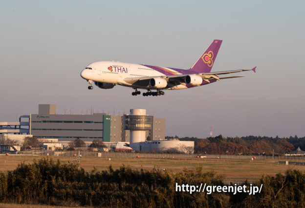 タイ国際航空のエアバスA380＠さくらの丘