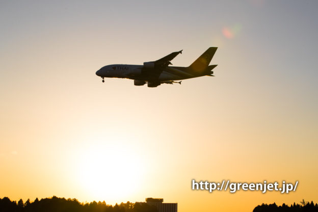 夕陽とタイ国際航空のエアバスA380