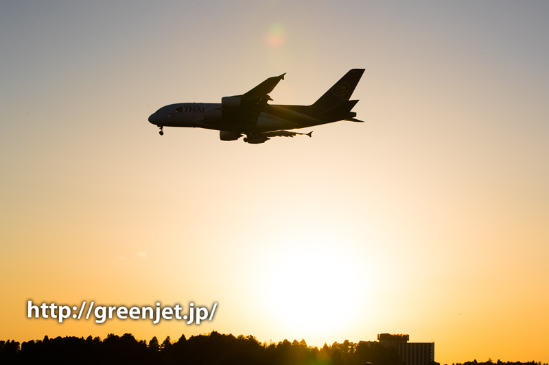 夕陽とタイ国際航空のエアバスA380