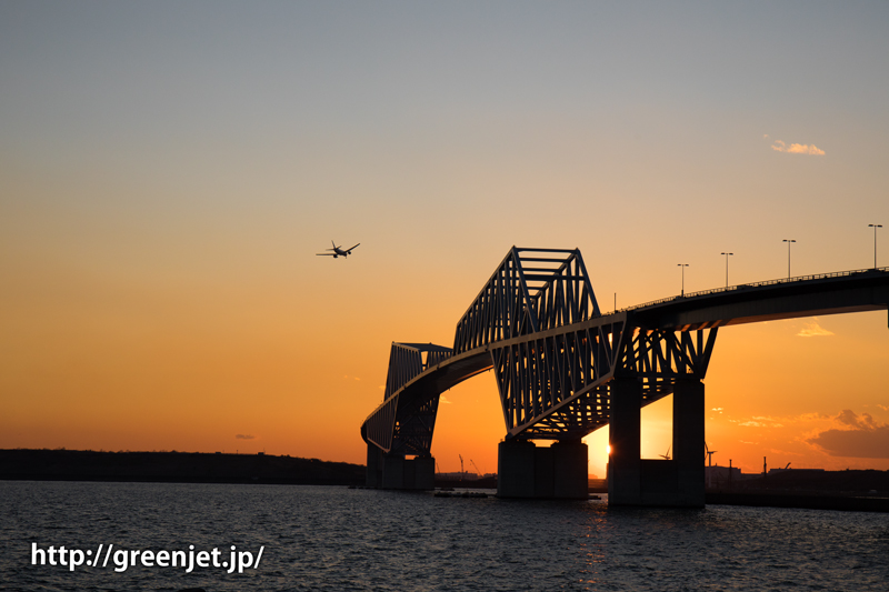 夕陽に輝く東京ゲートブリッジと飛行機