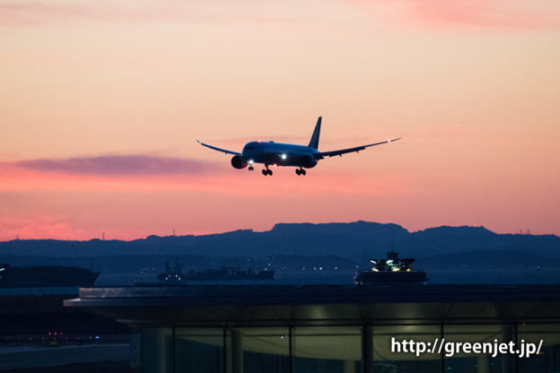 早朝の羽田空港の朝焼けと飛行機