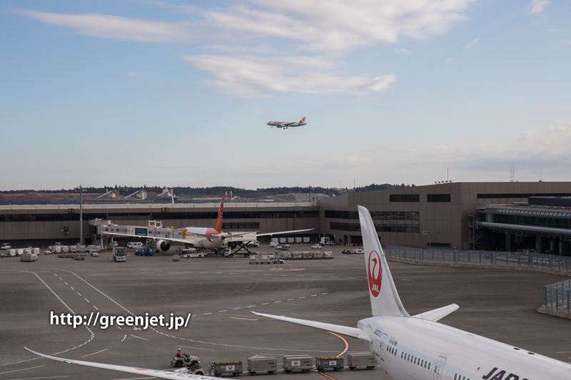 【成田の飛行機撮影スポット】第二ターミナル展望デッキ@ジェットスターのA320