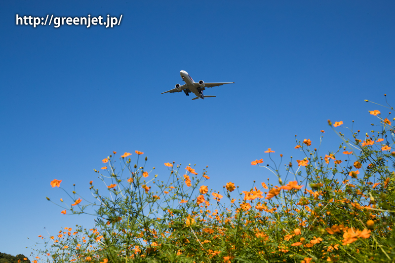 【成田の飛行機撮影スポット】小菅橋@