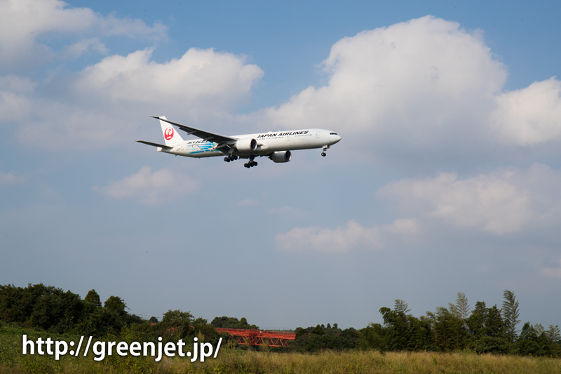 【成田の飛行機撮影スポット】野球場ポイント@JALのB777(JET-KEI)