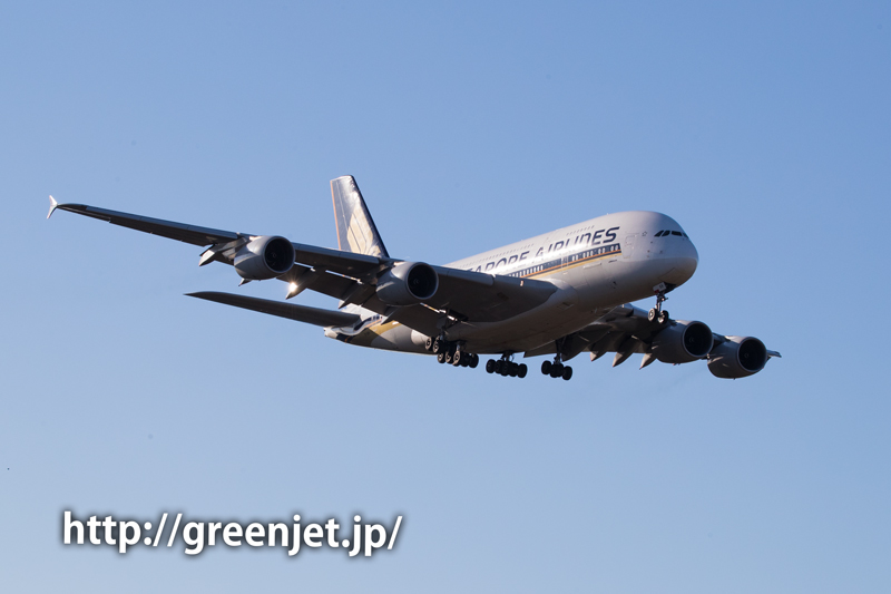 【成田の飛行機撮影スポット】芝山水辺の里 シンガポール航空のエアバスA380