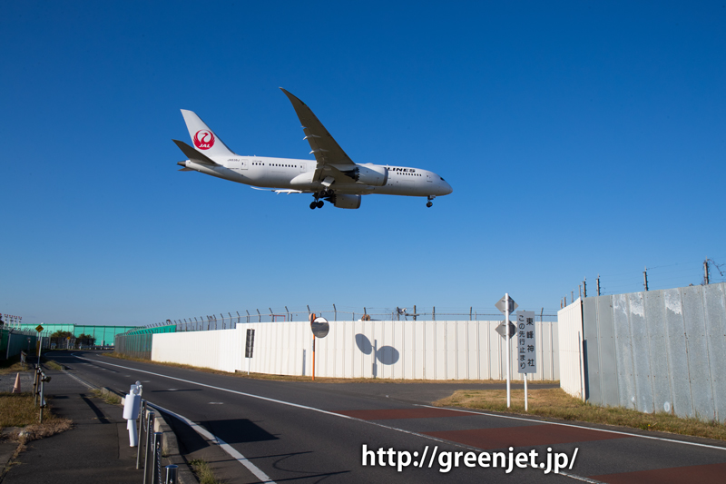 【成田の飛行機撮影スポット】東峰神社/JALのB787