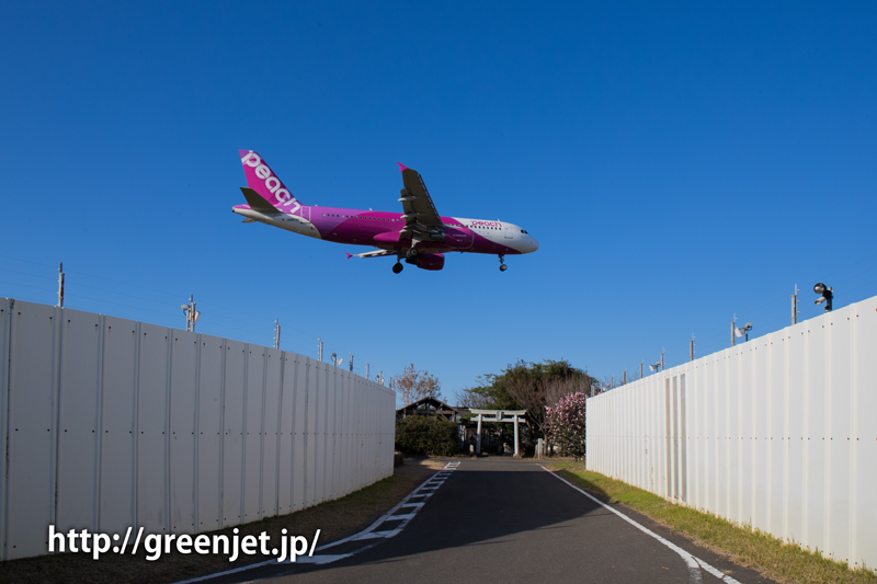 【成田の飛行機撮影スポット】東峰神社/ピーチ・アビエーションのA320
