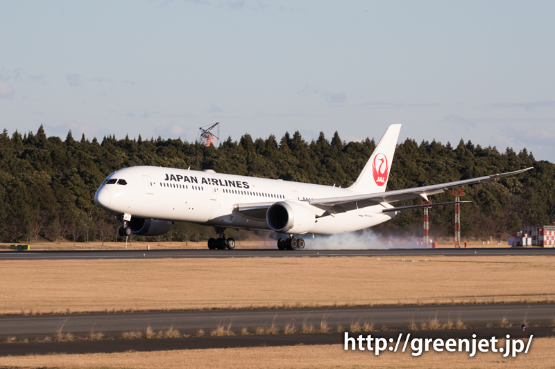 【成田の飛行機撮影スポット】ゴルフ場入口@JALのB787