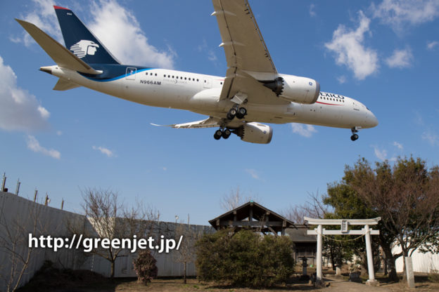 アエロメヒコのB787＠東峰神社