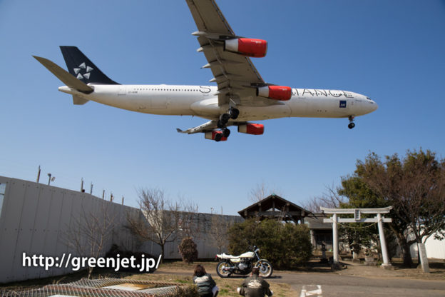 SASのA340＠東峰神社