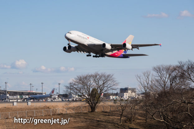 アシアナのA380＠奥の細道