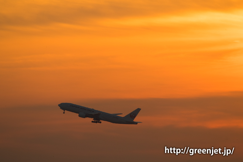 朝焼けの空と羽田空港から離陸する飛行機！＠JALのB777