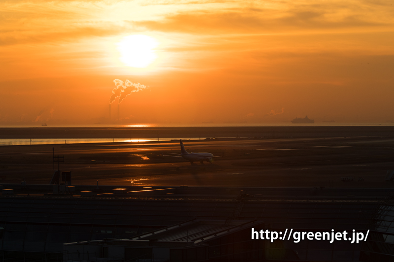 朝焼けの空と羽田空港から離陸する飛行機！＠ANAのB737