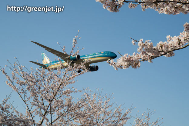 ベトナム航空のB787＠桜満開の芝山水辺の里
