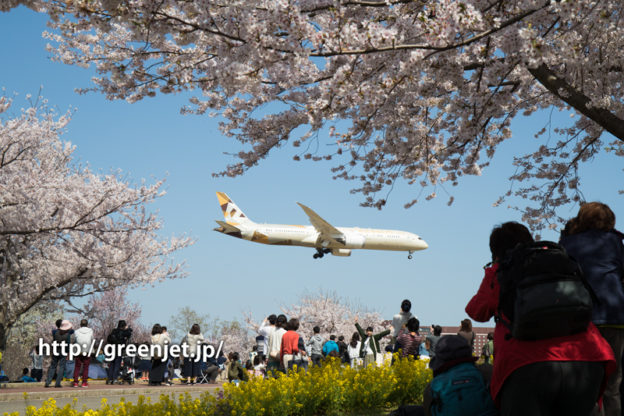 エティハドのB787＠桜満開のさくらの山