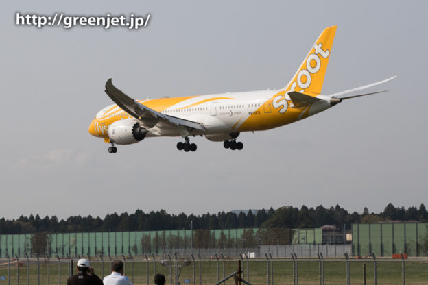 スクート・タイガーエアのB787＠第三四本木橋