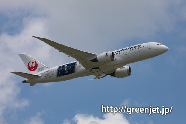 JAL SAMURAI BLUE 応援ジェット2号機