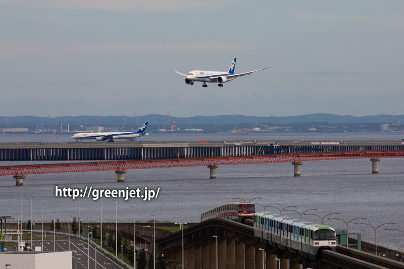 羽田の国際ターミナル駐車場より～RWY34LへファイナルアプローチするANAのB787