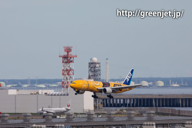 ANA スターウォーズジェット C3-PO＠羽田空港RWY34L