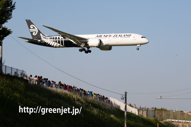 ニュージーランド航空のB787を超満員状態のさくらの山で