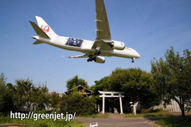 東峰神社で捉えたぞっ！サムライブルー応援ジェット2号機