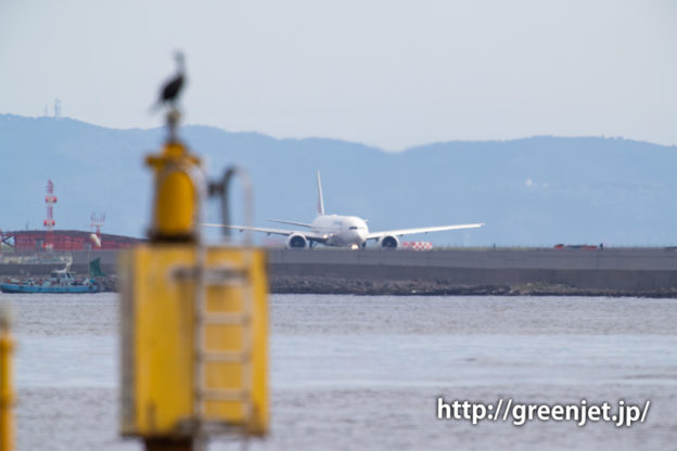 エールフランスのB777＠城南島