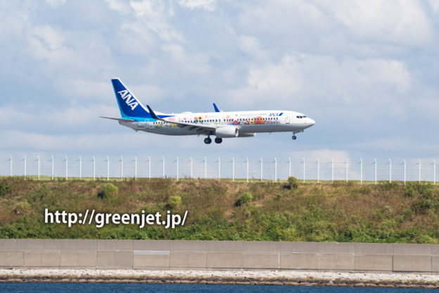B737-800 JA85AN 東北フラワージェット