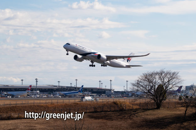 マレーシア航空のエアバスA350＠奥の細道