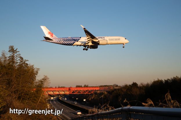 チャイナエアラインのA350 カーボン塗装の特別塗装機