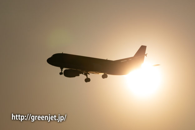 朝陽と飛行機＠浮島