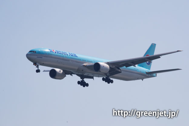 スカイブルーのB777～大韓航空