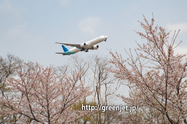 さくらの丘近くの路上で捉える桜と飛行機