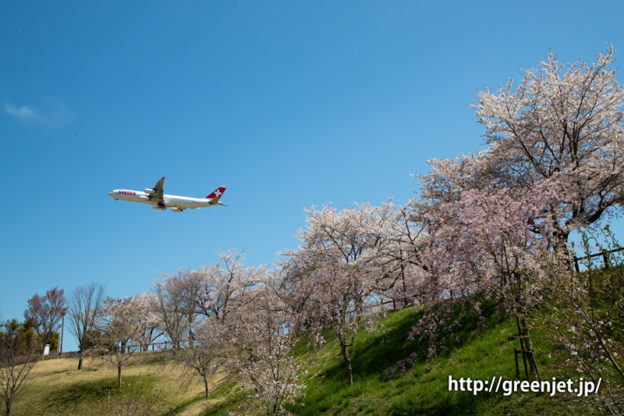 さくらの谷で飛行機写真
