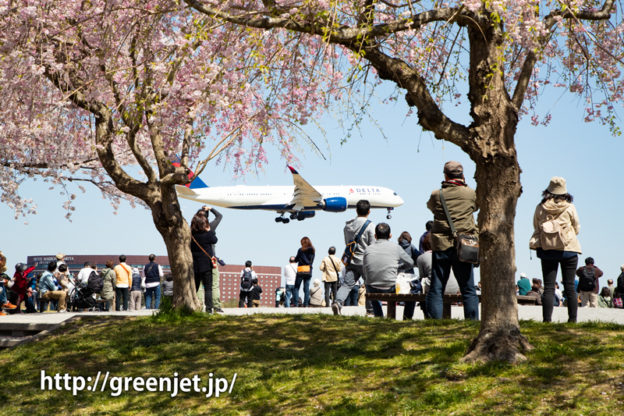 満開の桜！さくらの山にて飛行機と