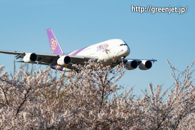 満開の桜！さくらの山にて飛行機と