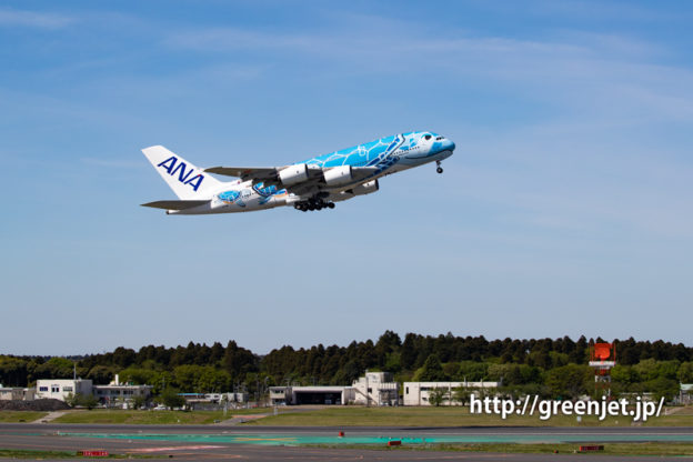 ANA フライングホヌの離陸を撮ったぞっ！