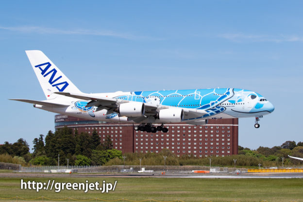 ANA フライングホヌをゲジポイントで撮ったぞ！