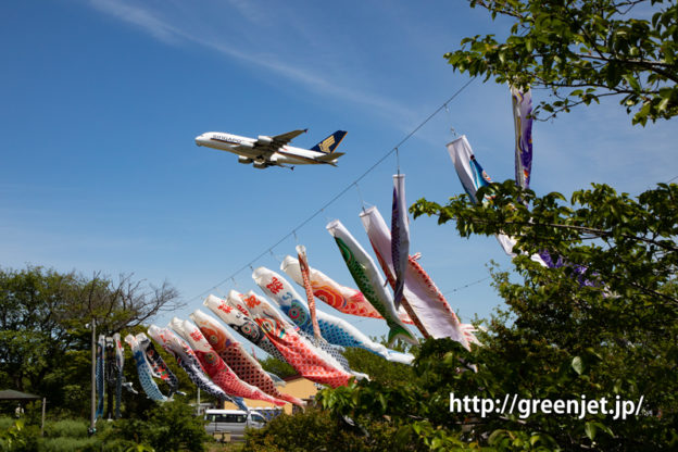 鯉のぼりと飛行機～シンガポールのA380