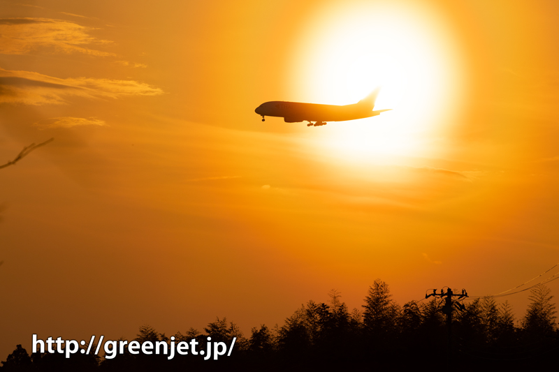 成田の夕焼け空とタイのエアバスA380