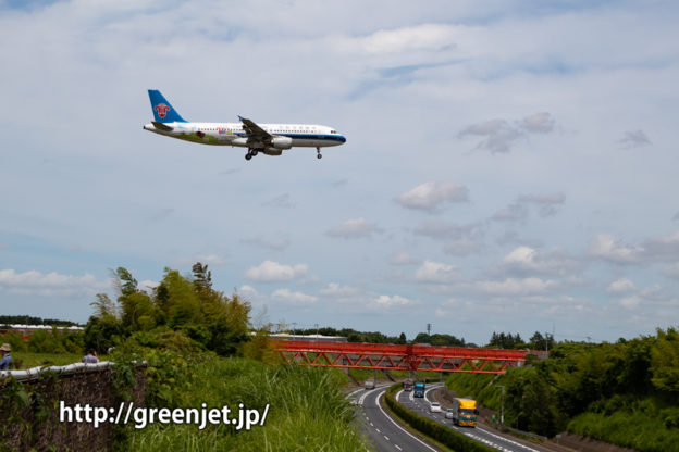 中国南方航空 A320 アウトランダーの特別塗装機