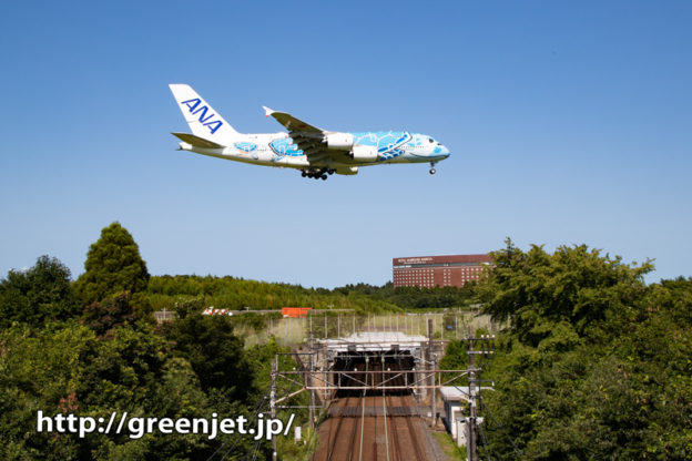 ANA フライングホヌ1号機と京成線。。