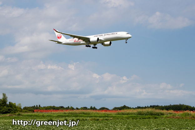 成田で撮ったぞ！JALのエアバスA350