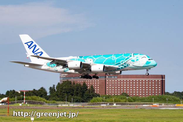 フライングホヌ2号機をゲジポイントで撮る